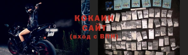 соль ск Козельск