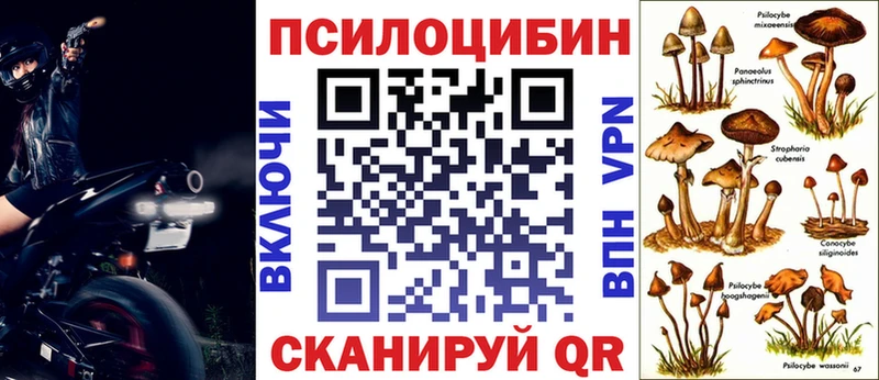 маркетплейс наркотические препараты Спас-Клепики Псилоцибиновые грибы мухоморы сколько стоит